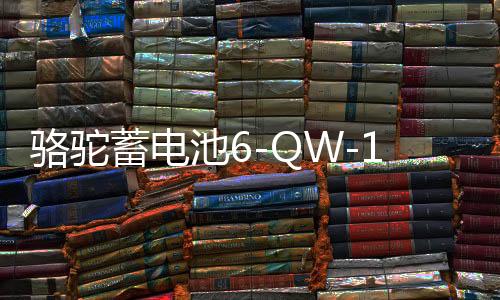 駱駝蓄電池6-QW-135適配東風貨車鏟車拖拉機汽車電瓶 以舊換新