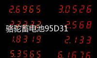 駱駝蓄電池95D31 蓄電池雙龍長城皮卡照明汽車電瓶12V85AH