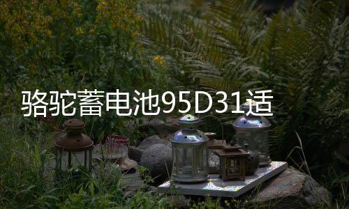 駱駝蓄電池95D31適用于瑞風(fēng)普拉多帕杰羅85AH汽車(chē)電瓶 以舊換新