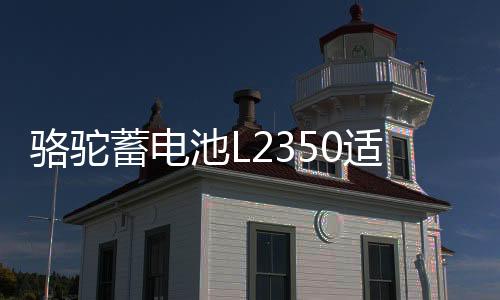 駱駝蓄電池L2350適用于東風長安悅翔睿騁逸動汽車電瓶 以舊換新