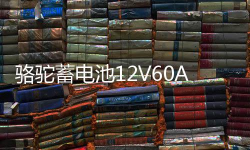 駱駝蓄電池12V60AH汽車(chē)電瓶L2400適配大眾POLO寶來(lái)朗逸標(biāo)致領(lǐng)克02
