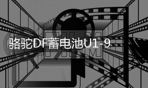 駱駝DF蓄電池U1-9割草機旋耕微耕機路面切割機發(fā)電機12V24AH電瓶
