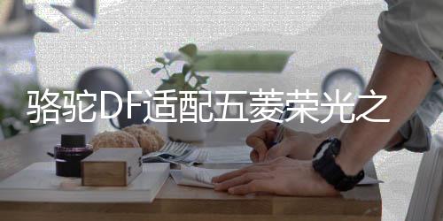 駱駝DF適配五菱榮光之光面包車北汽威旺58500汽車電瓶12V48A電池