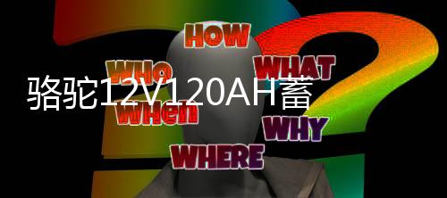 駱駝12V120AH蓄電池N120適配東風(fēng)解放江鈴卡車挖掘機(jī)叉車汽車電瓶