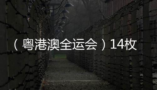 （粵港澳全運(yùn)會(huì)）14枚金牌花落各家 全運(yùn)會(huì)展中國跳水新風(fēng)采
