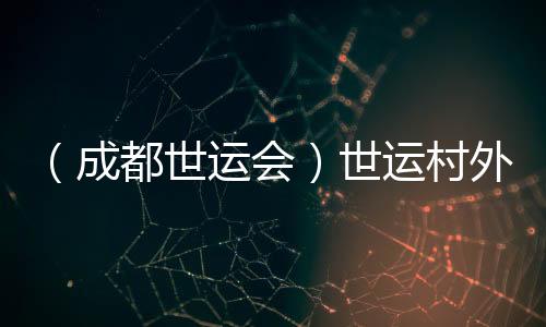 (成都世運(yùn)會)世運(yùn)村外的市集:讓世界感知“四川心意”