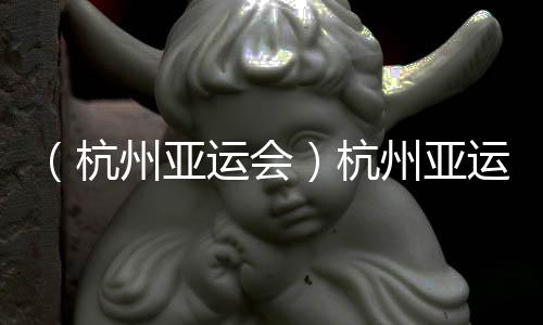 (杭州亞運(yùn)會(huì))杭州亞運(yùn)會(huì)迎來(lái)代表團(tuán)單日入境最高峰