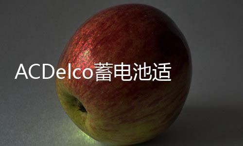 ACDelco蓄電池適配進(jìn)口福特銳界探險者猛禽F150原裝電瓶汽車電瓶