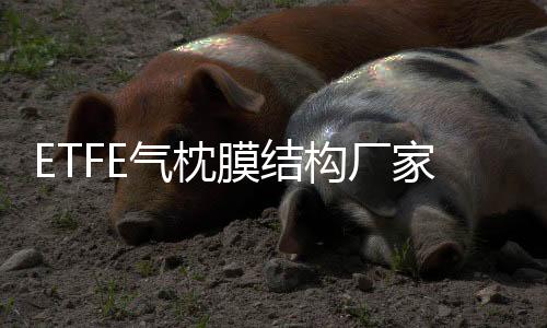 鄭州便利店吸塑燈箱加工
