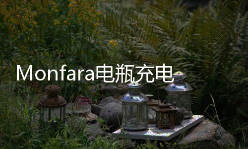 Monfara電瓶充電器12v24V伏汽車水電瓶充電機通用大功率充滿自停