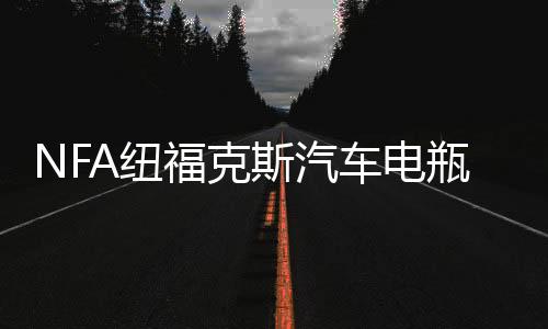 NFA紐?？怂蛊?chē)電瓶充電器12V大功率agm蓄電池全自動(dòng)智能充電機(jī)