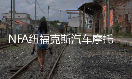 NFA紐?？怂蛊嚹ν熊囯娖砍潆娖?2V數(shù)顯全自動車載蓄電池充電機