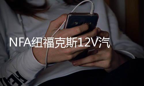 NFA紐福克斯12V汽車電瓶充電器大功率充滿自停25A蓄電池充電機(jī)