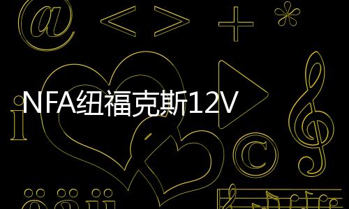NFA紐?？怂?2V 25A全自動汽車電瓶充電器蓄電池充電機(jī) 引擎啟動