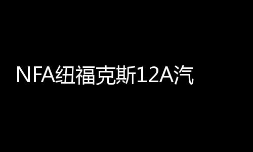 NFA紐?？怂?2A汽車電瓶充電器12V數(shù)顯車載蓄電池充電器電瓶修復