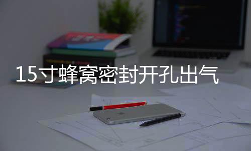 15寸蜂窩密封開(kāi)孔出氣箱15空箱體低音炮箱家用汽車用空箱木質(zhì)包郵