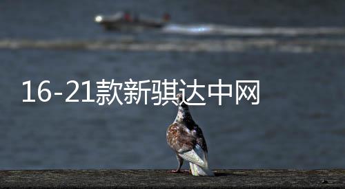 16-21款新騏達(dá)中網(wǎng)外觀改裝配件2021前臉專用裝飾水箱防蟲網(wǎng)用品