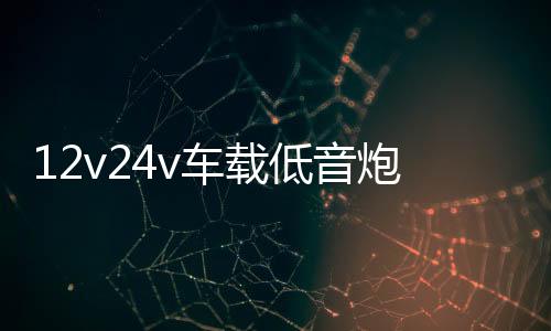 12v24v車載低音炮汽車貨車音響無線藍牙音箱220v家用大音量重低音