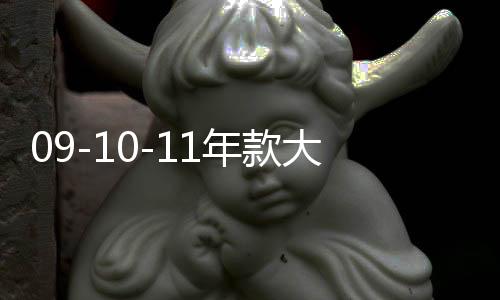 09-10-11年款大眾帕薩特領馭中網(wǎng)改裝配件前臉保險杠專用裝飾亮條