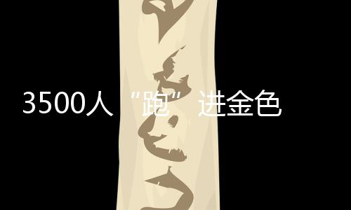 3500人“跑”進(jìn)金色油畫 湖南南縣花海馬拉松飄起小龍蝦香