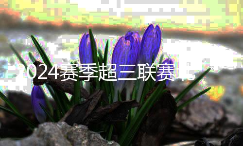 2024賽季超三聯(lián)賽北京爭(zhēng)霸賽落幕，無(wú)錫隊(duì)奪冠