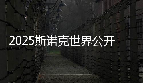 2025斯諾克世界公開(kāi)賽：丁俊暉輕松晉級(jí) 塞爾比爆冷出局