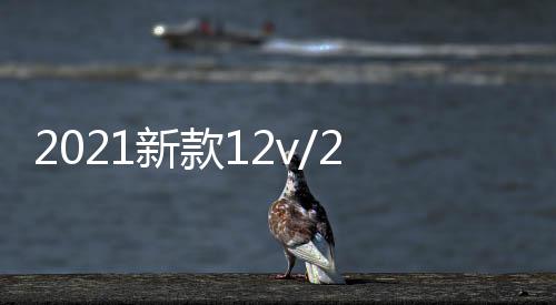 2021新款12v/24v車載帶藍牙無線音響汽車貨車重低音炮小型音箱