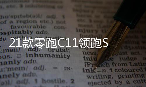 21款零跑C11領跑S01/T03汽車改裝迎賓踏板不銹鋼門檻條后護板配件